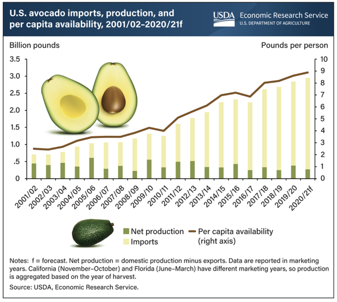 Avocado consumption by year