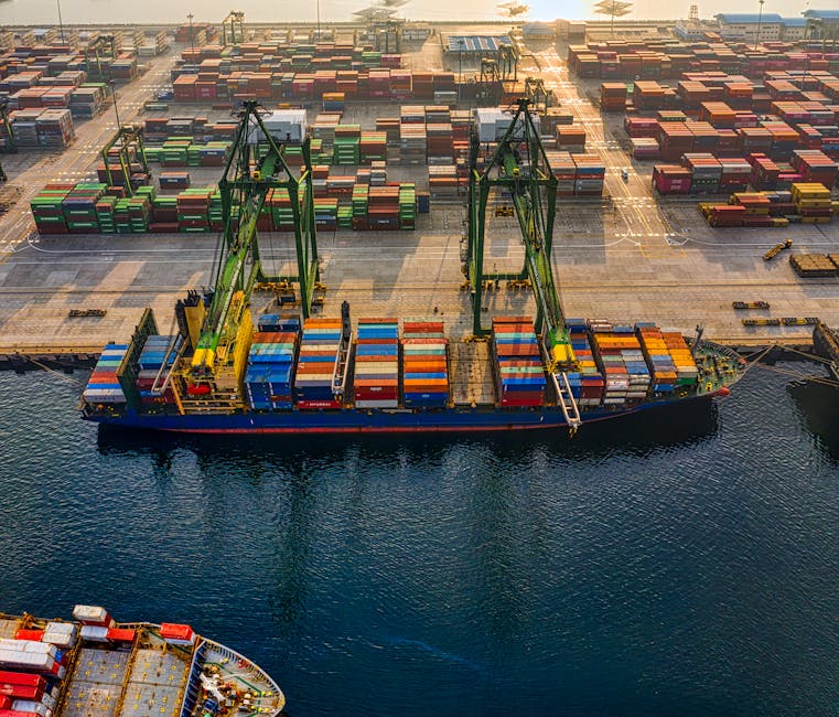 Global freight audit