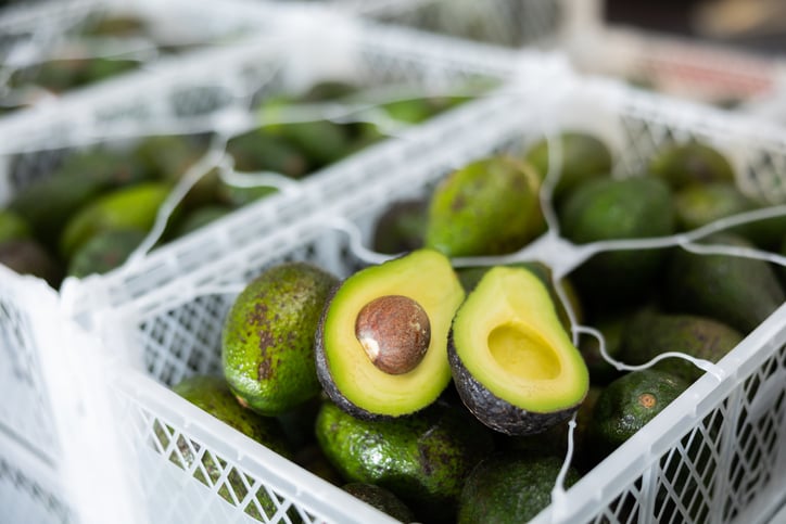 Avocado Packaged for Shipping