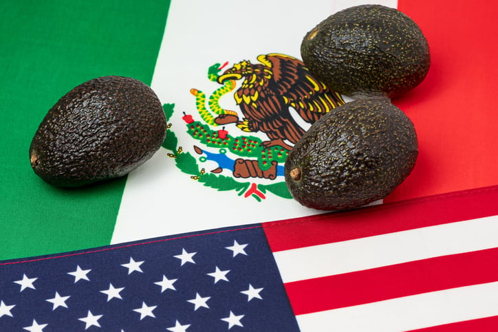 Avocado shipping from Mexico to USA